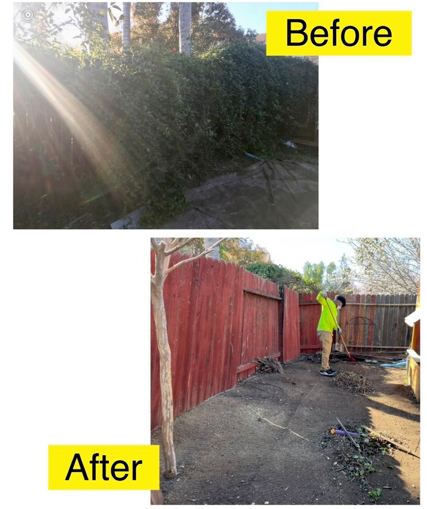 Customer photos