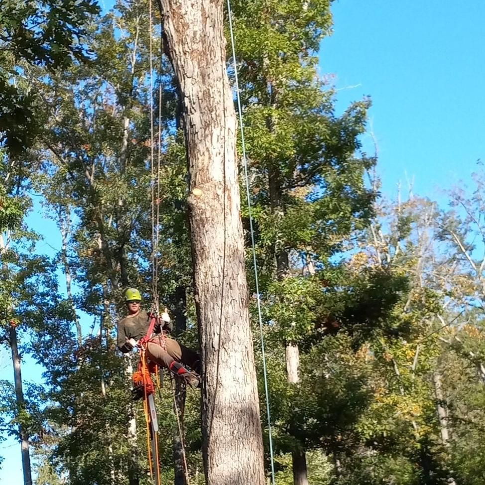 Limitless Outdoor Services
