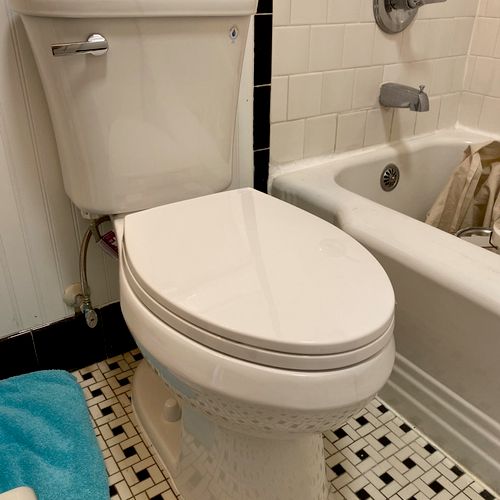 It was time to replace our 1960’s toilet in the gu
