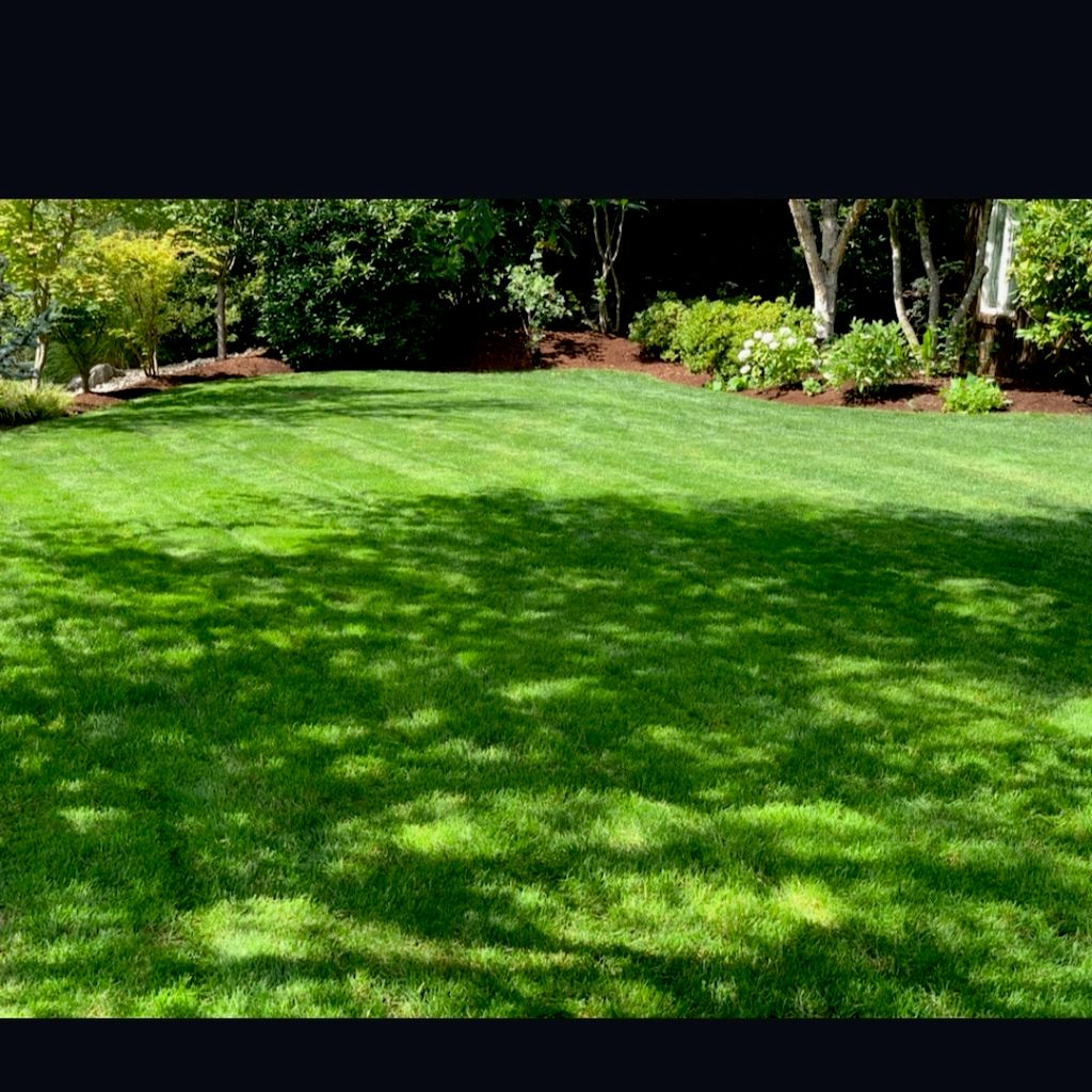 Miguel Banuelos landscaping and lawncare services