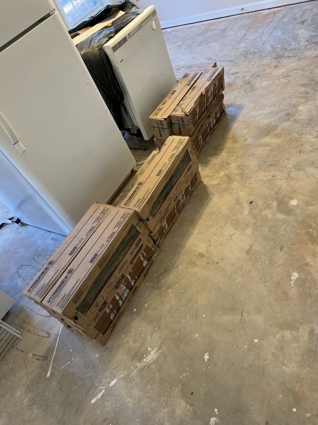 Projects and media