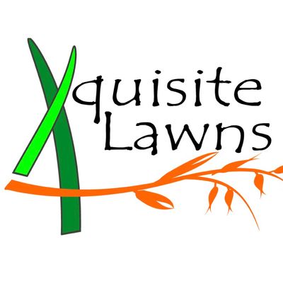 Avatar for Xquisite Irrigation & Landscaping