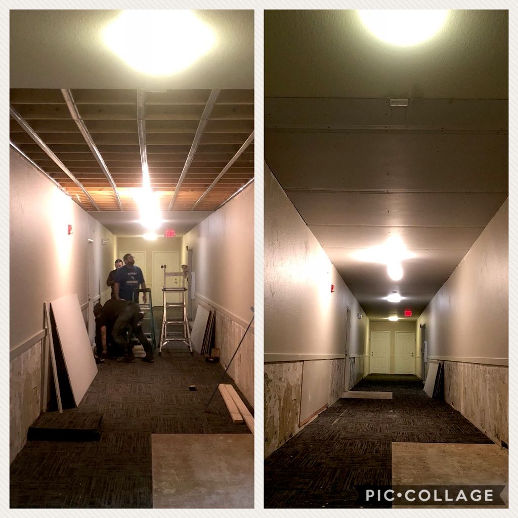 Projects and media