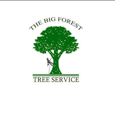 Avatar for The big forest tree service