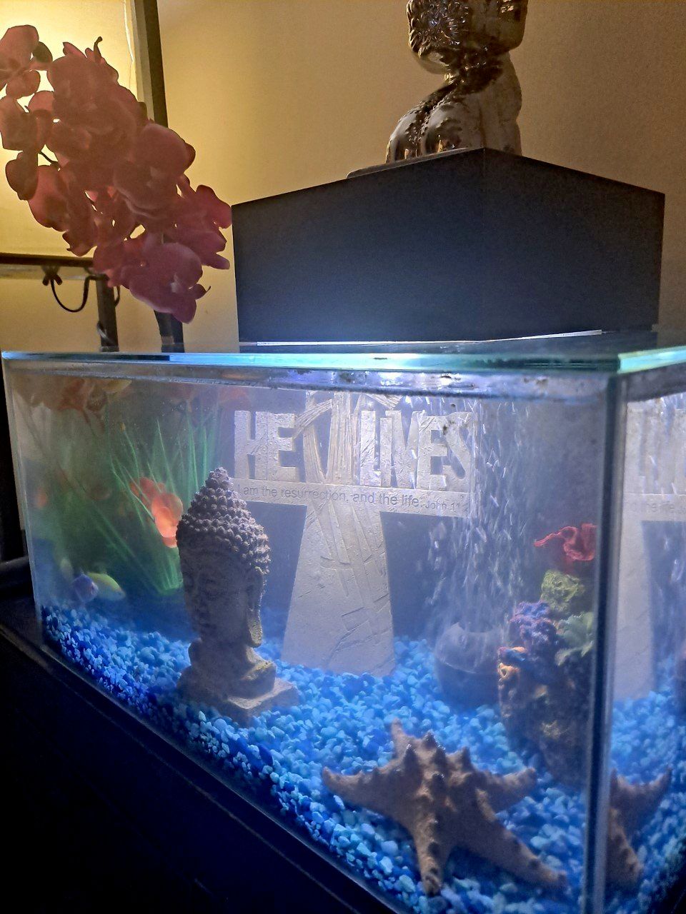 Customer photos
