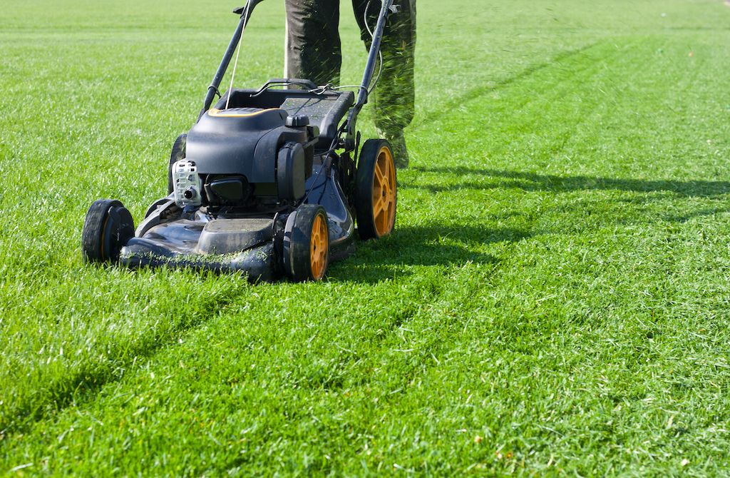 lawn mower spring mowing