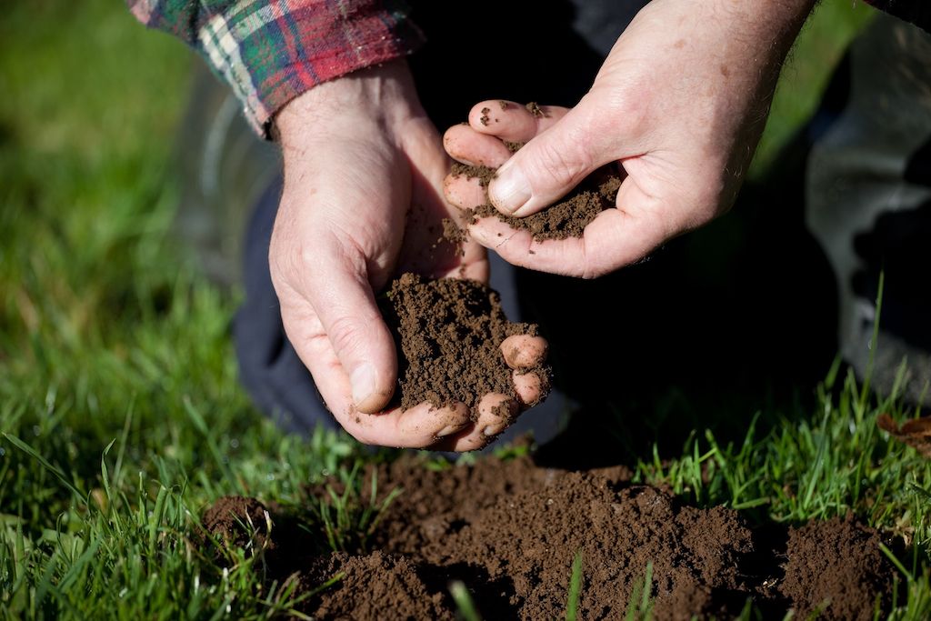 soil testing spring lawn care
