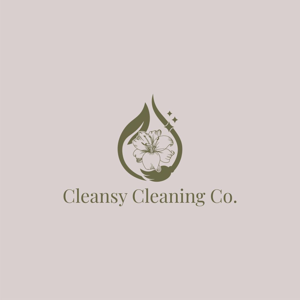 Cleansy Cleaning Co.