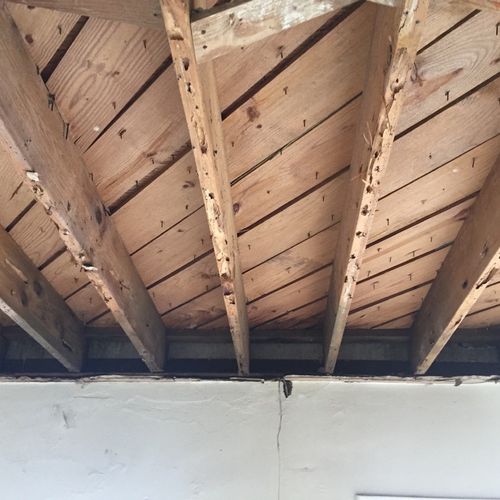 Dry-wood termite damage