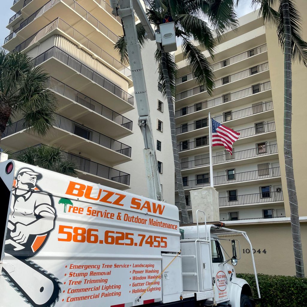 buzz saw tree service and outdoor maintenance