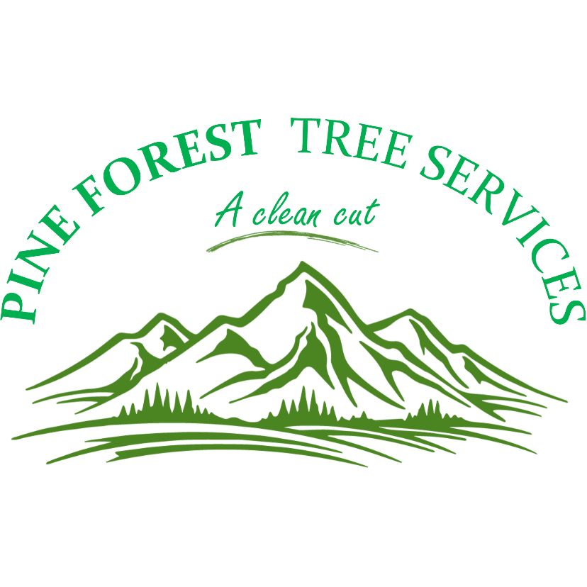 Pine Forest Tree services