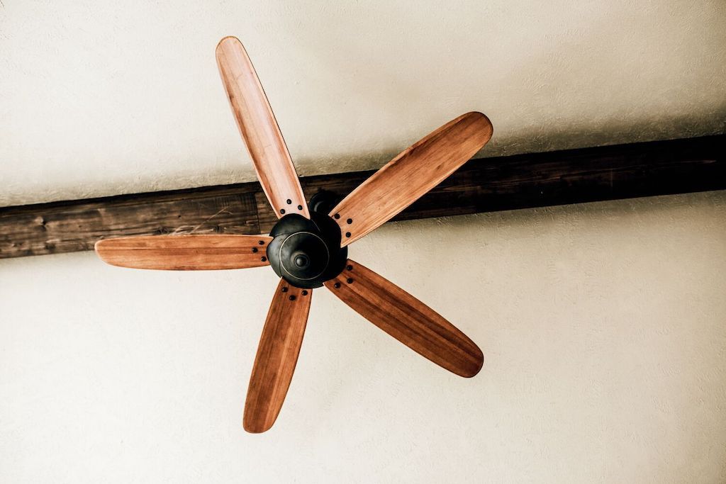 ceiling fan dusting