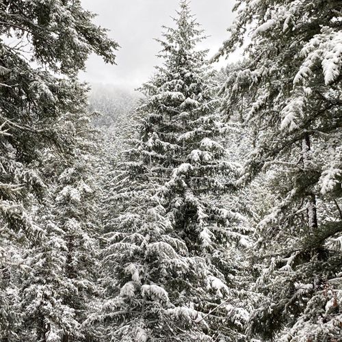 Montana Premium House Care LLC