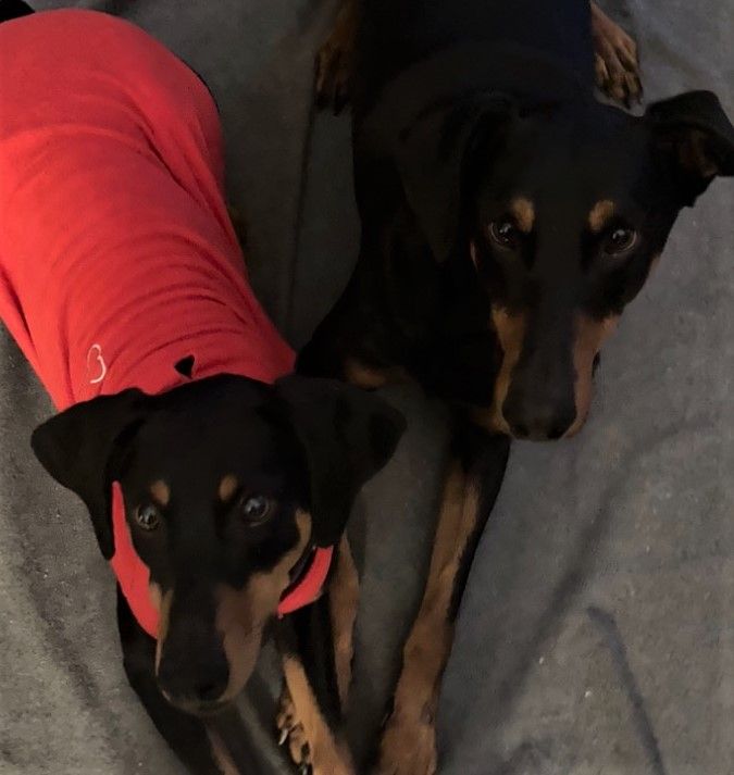 Nubbie & Bron