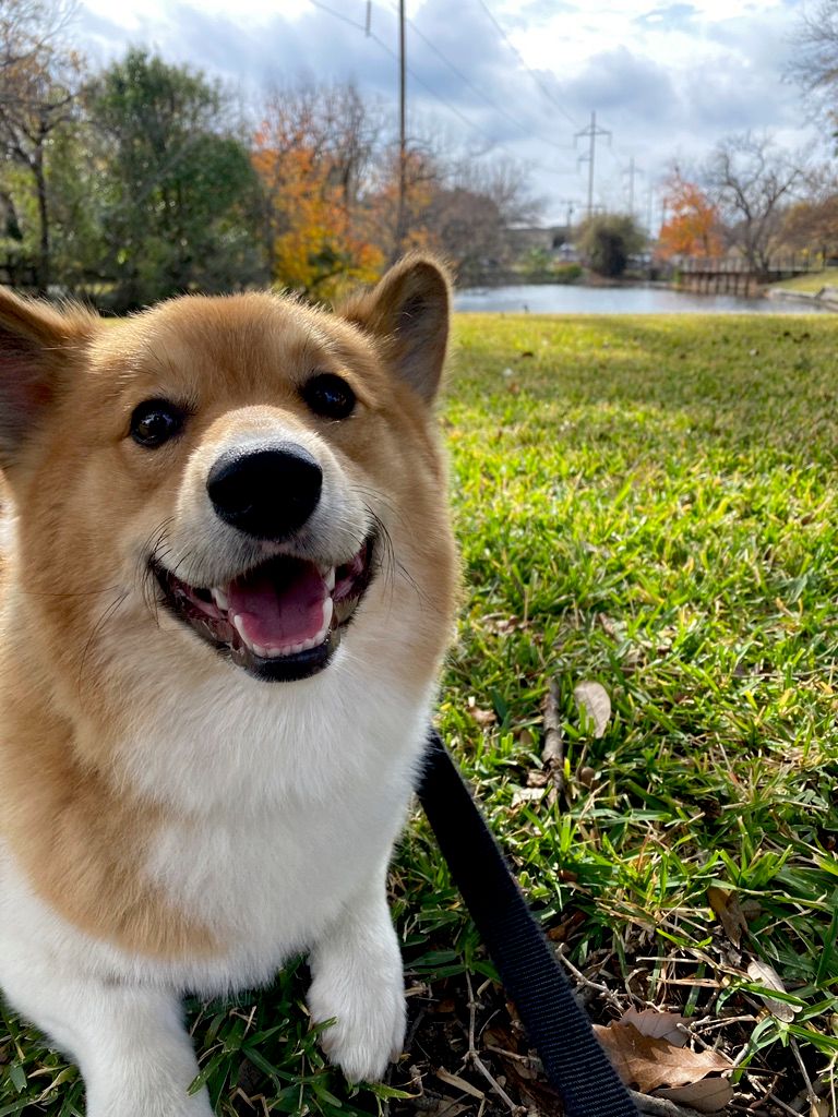 Milo