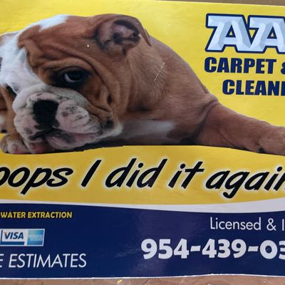 Avatar for AAA CARPET AND TILE CLEANERS