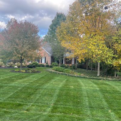 Lawn Care, Pest Control and Tree Care in Dayton, Ohio