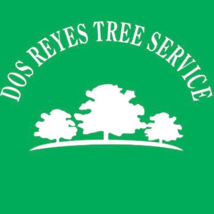 Dos Reyes Tree Service