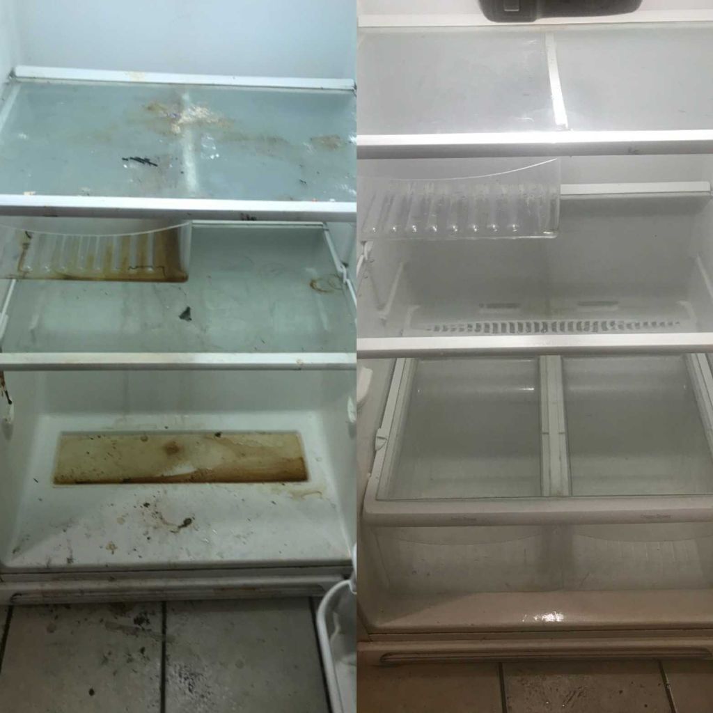 Before and After of Fridge Cleaning in Residential