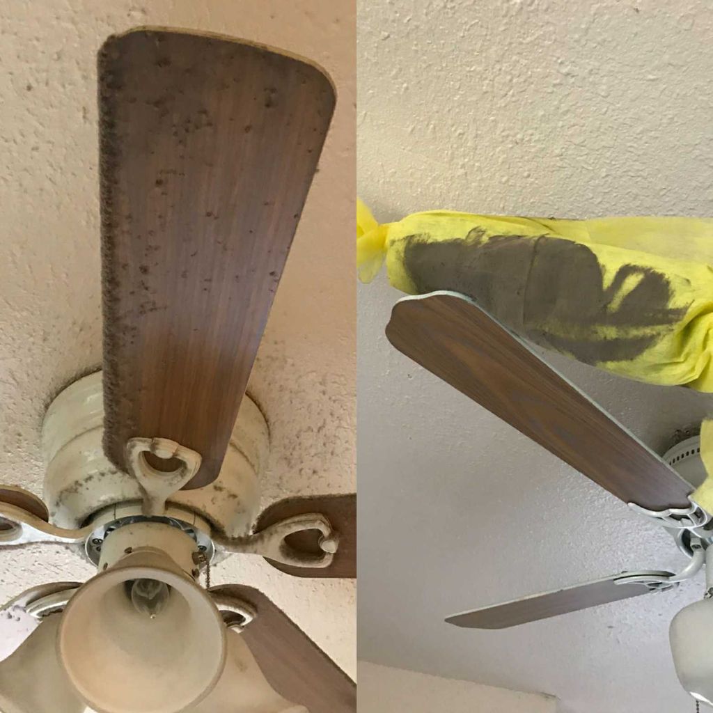 Before and After of Fan Cleaning in Residential Ho