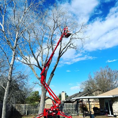 Avatar for Texas Tree Medics LLC