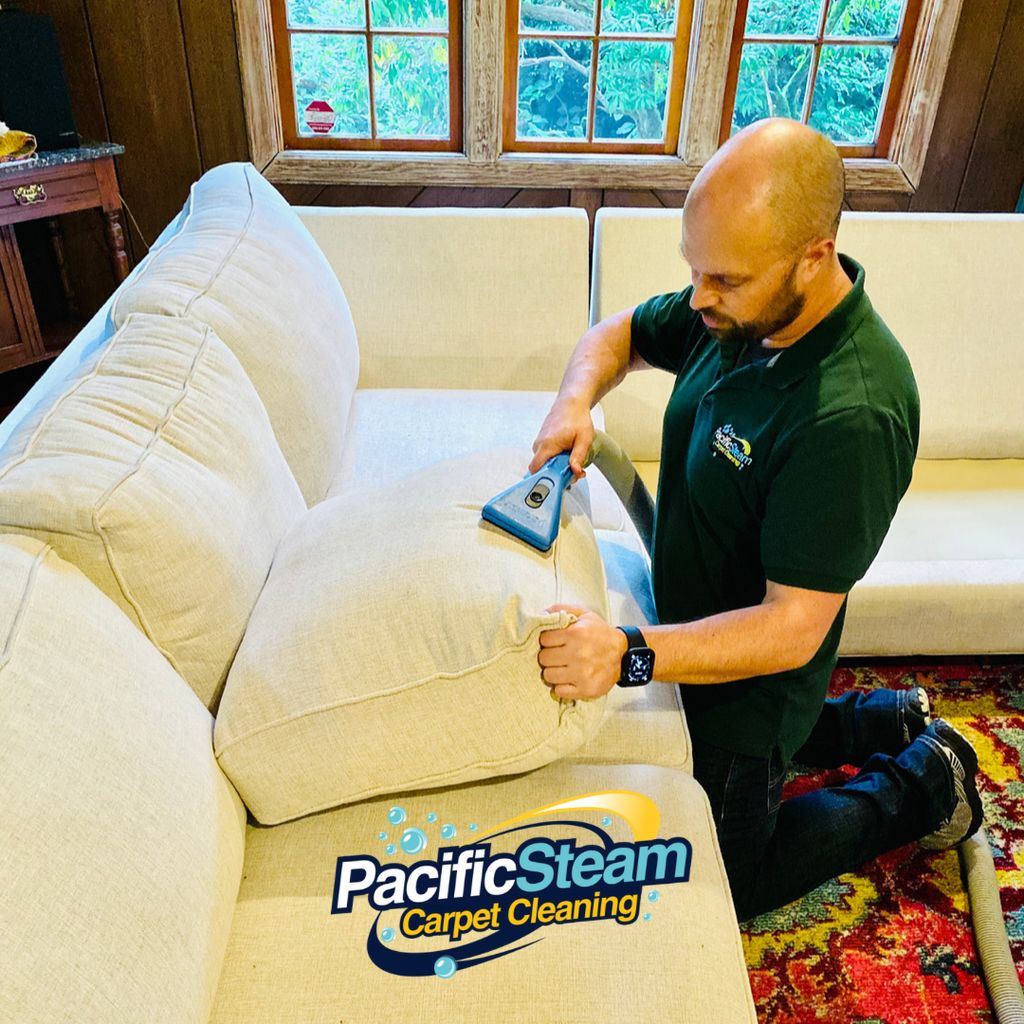 Upholstery Cleaning 