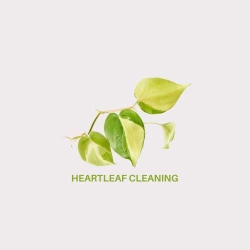 Heartleaf Cleaning