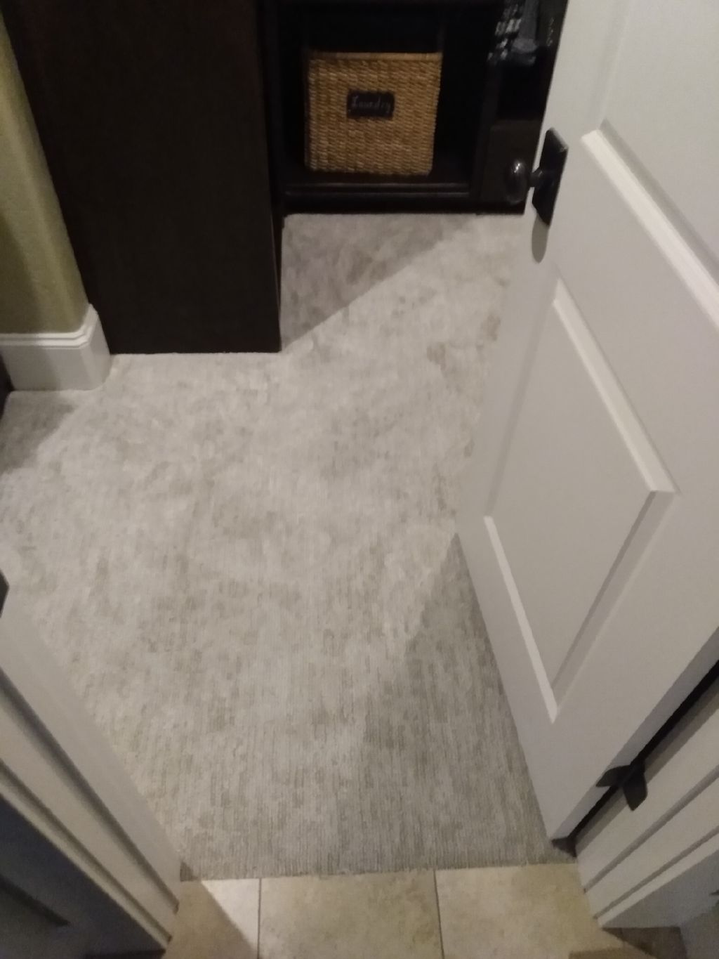 Carpet Repair or Partial Replacement