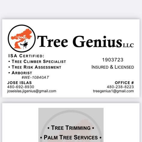 Tree Genius LLC