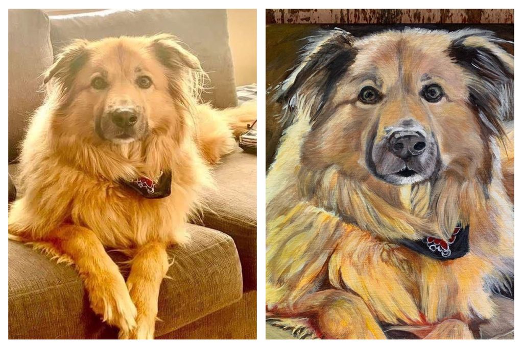 Customer photos