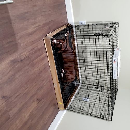 Featured Projects