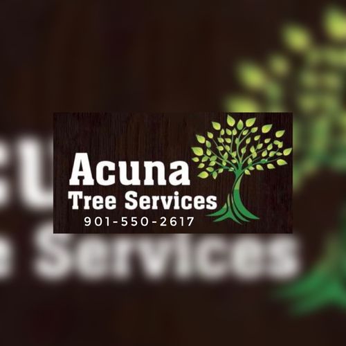 A-T-S. Tree Trimming & Removal Profile Picture