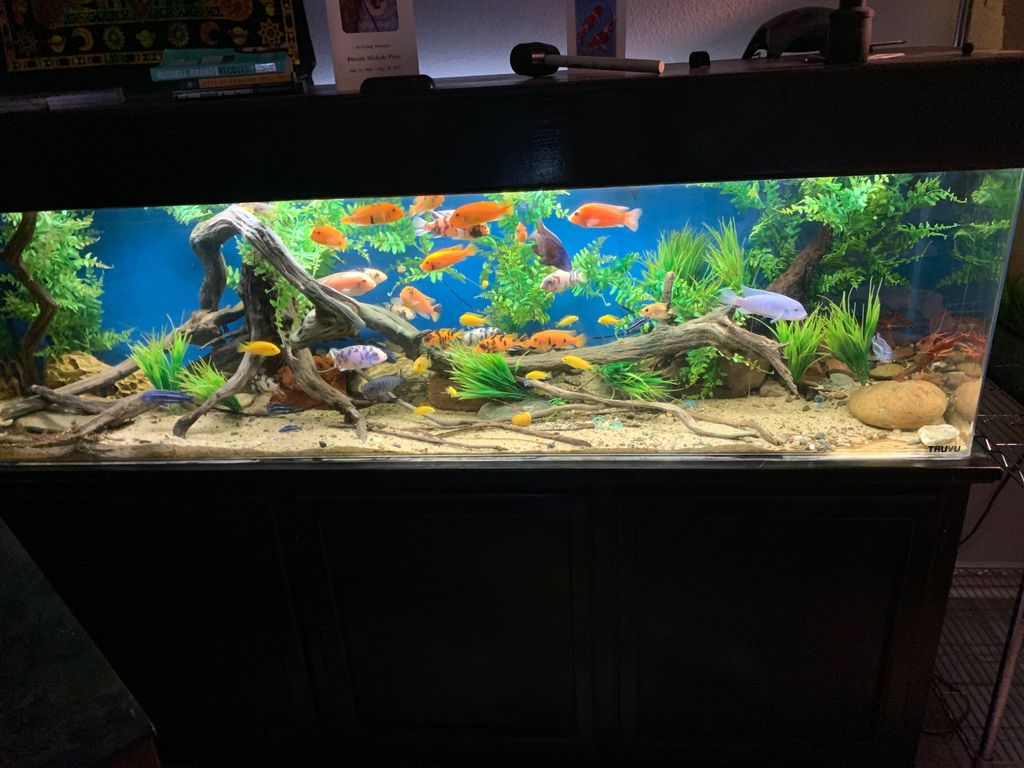 Customer photos