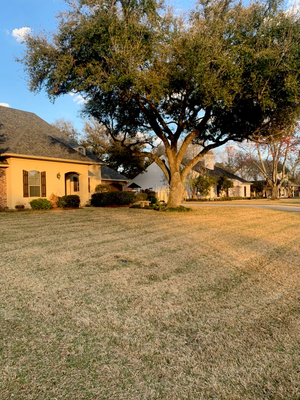 This yard was full of leaves. Not anymore! 