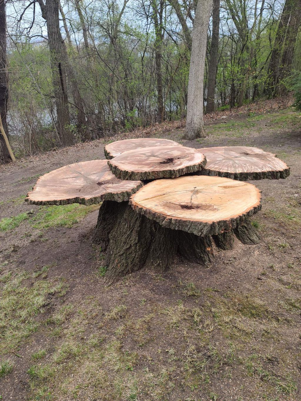 Outdoor picnic table being made 