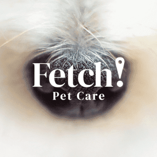 Avatar for Fetch! Pet Care of Contra Costa