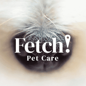 Avatar for Fetch! Pet Care of Charlottesville