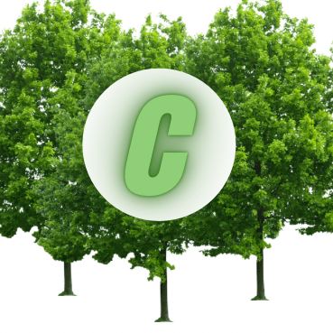 COLSON’S Tree Trimming & Lawn Care
