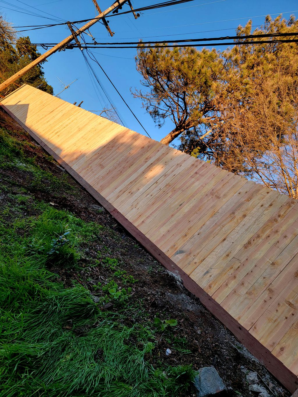 Projects and media