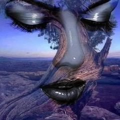 pro avatar