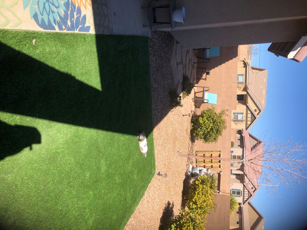 Customer photos