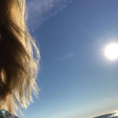 pro avatar