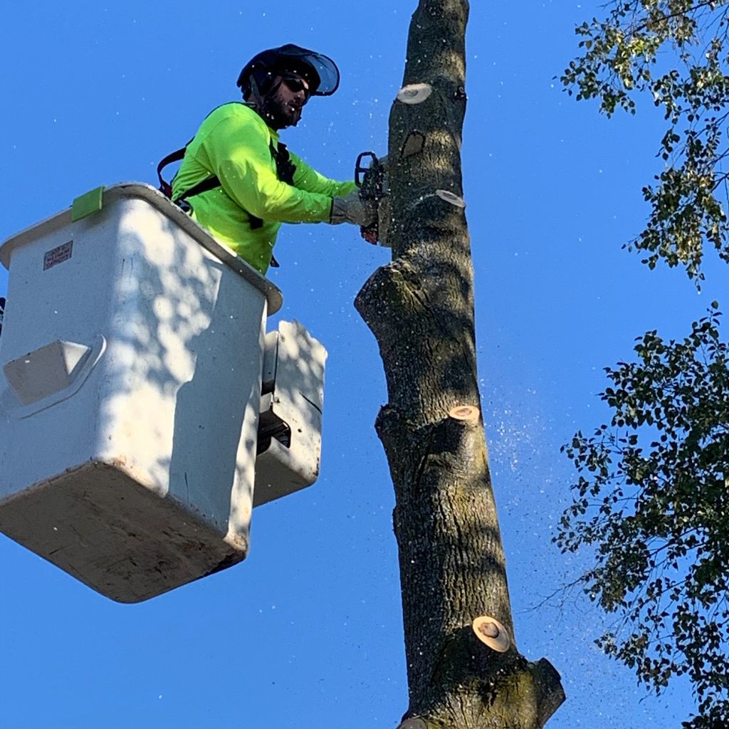 Snyder’s Tree Service