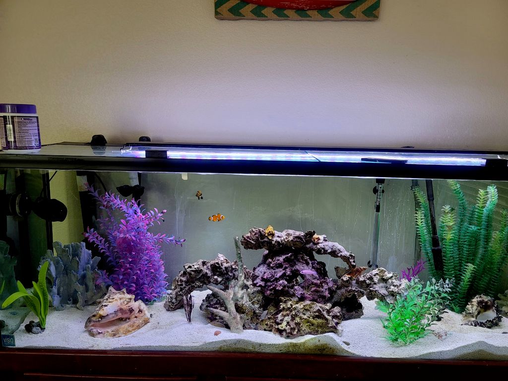 Customer photos
