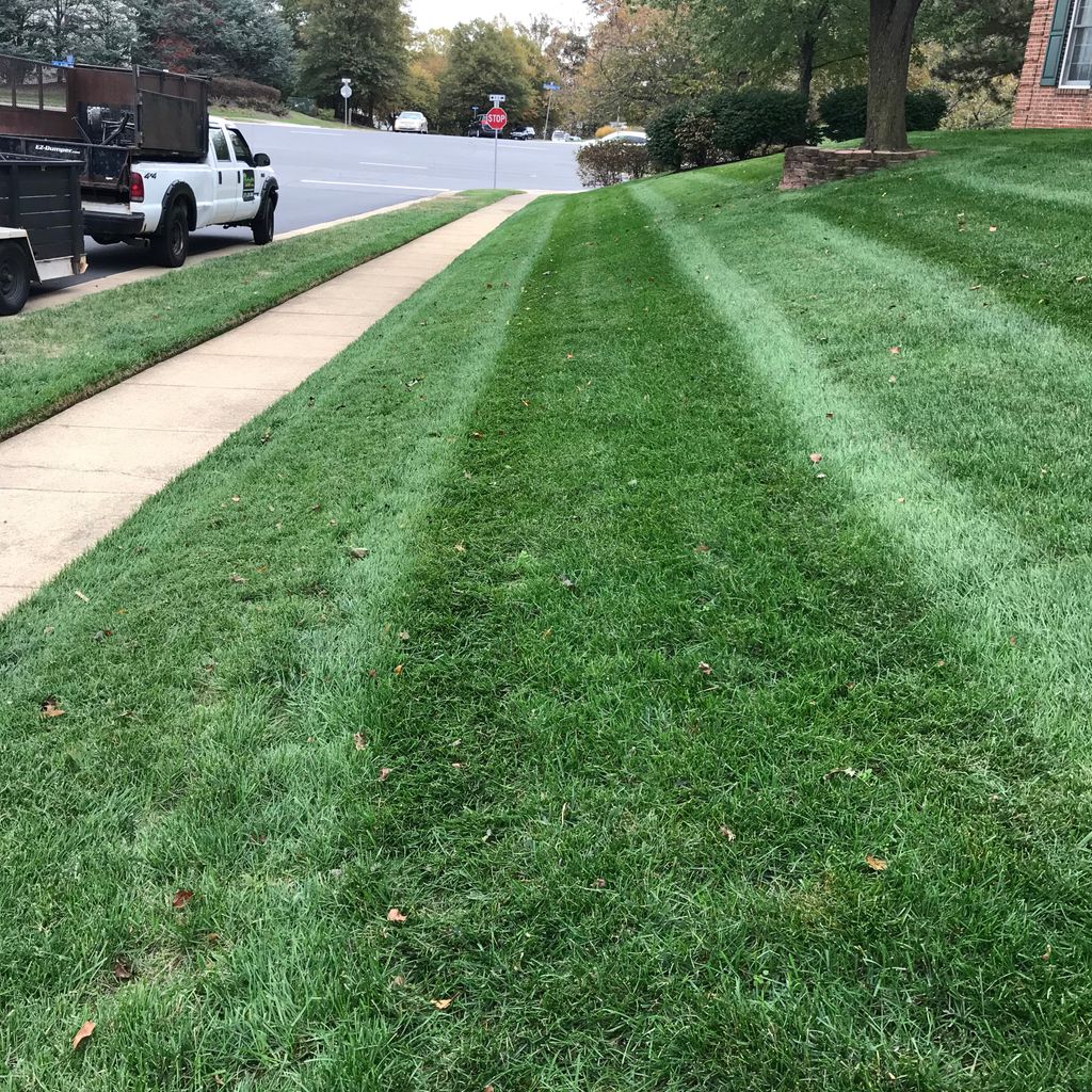 Andrades Lawn services LLC