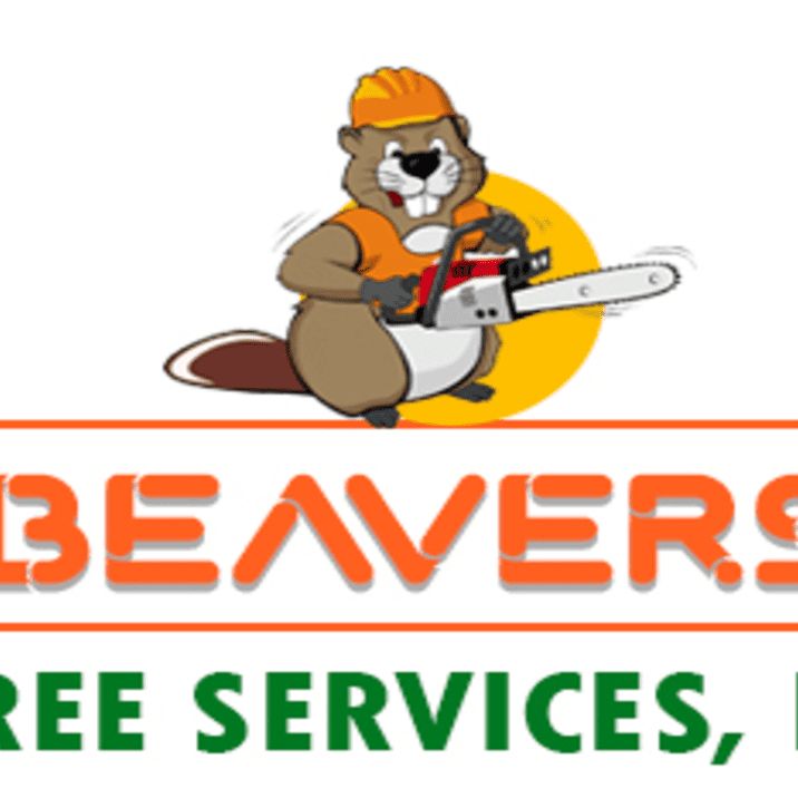 Beavers Tree services & landscaping LLC