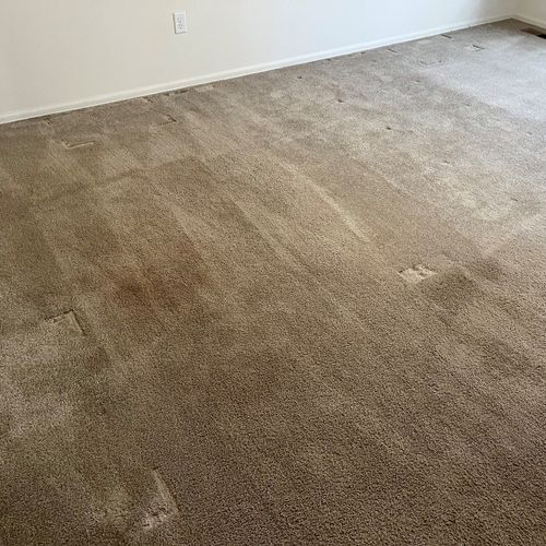 Pet stained bedroom