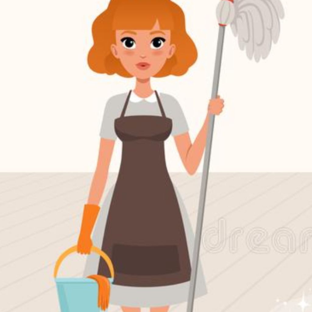 Sanches Cleaning Services
