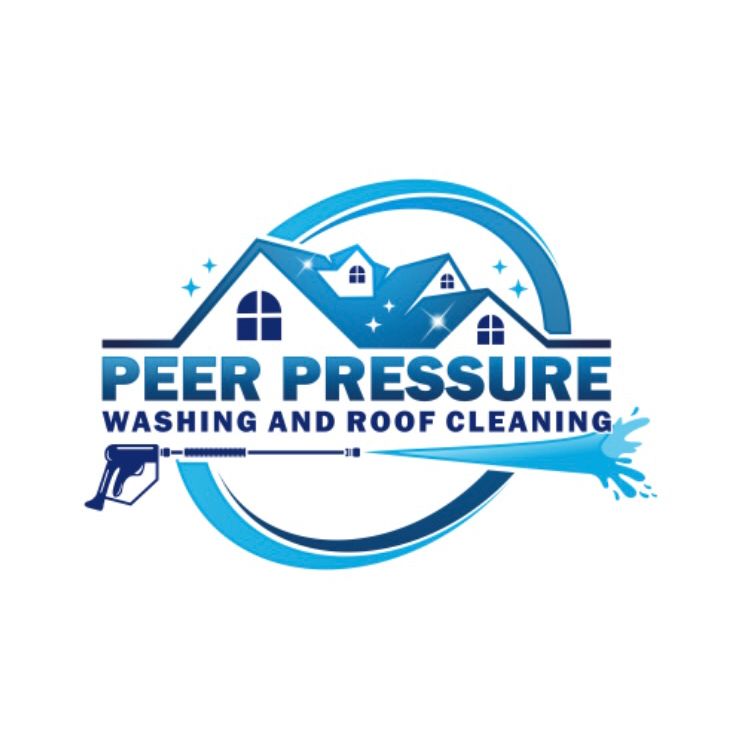 Peer Pressure Washing and Roof Cleaning
