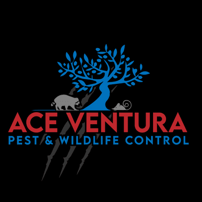 Avatar for Ace Ventura Pest & Wildlife Control